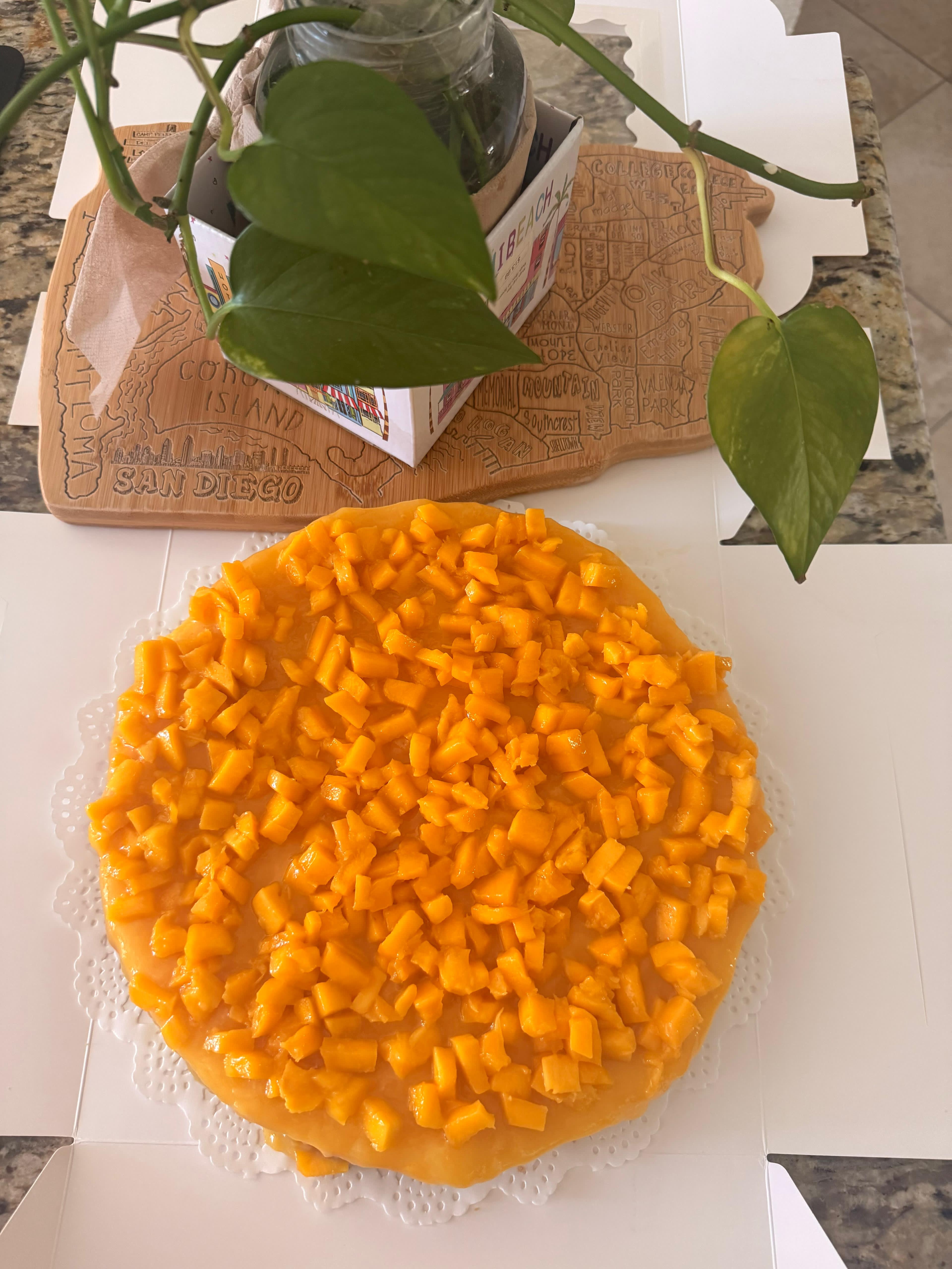Mango Cheesecake